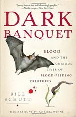 Cover of “Dark Banquet”