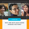 16 June, 2021 – Episode 829 – Why Are Bats Disease Vectors?