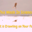22 June, 2022 – Episode 881 – What is Crawling on Your Face?
