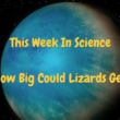 24 August, 2022 – Episode 889 – How Big Could Lizards Get?