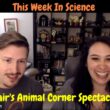 5 April 2023 – Episode 920 – It’s the Blairs Animal Corner Spectacular!