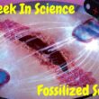 19 April 2023 – Episode 922 – Fossilized Science!