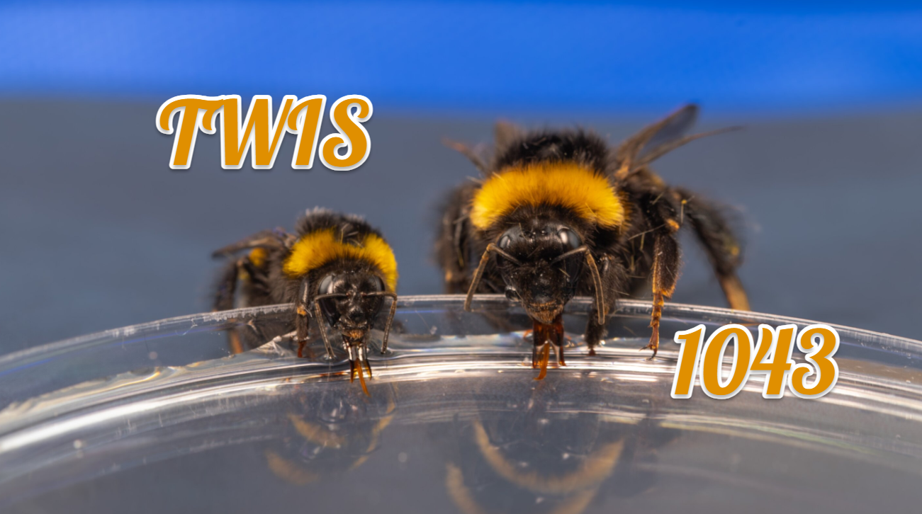 14 January, 2026 – Episode 1043 – The Uncertainty of Science