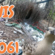 5 June, 2026 – Episode 1061 – Science Needs You!