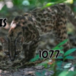 23 September, 2026 – Episode 1077 – Surviving in Hot Water 23 September, 2026 – Episode 1077 – Surviving in Hot Water