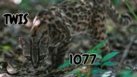 23 September, 2026 – Episode 1077 – Surviving in Hot Water 23 September, 2026 – Episode 1077 – Surviving in Hot Water